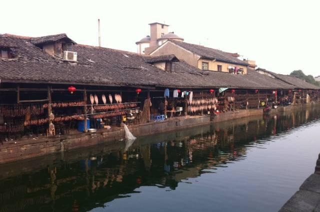 轮台县“轮台白杏”地理标志证明商标成功注册